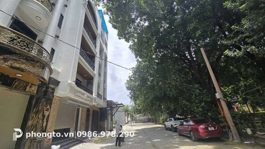Studio Thú Y Nam Từ Liêm - PTGD-6122 (ảnh 2)