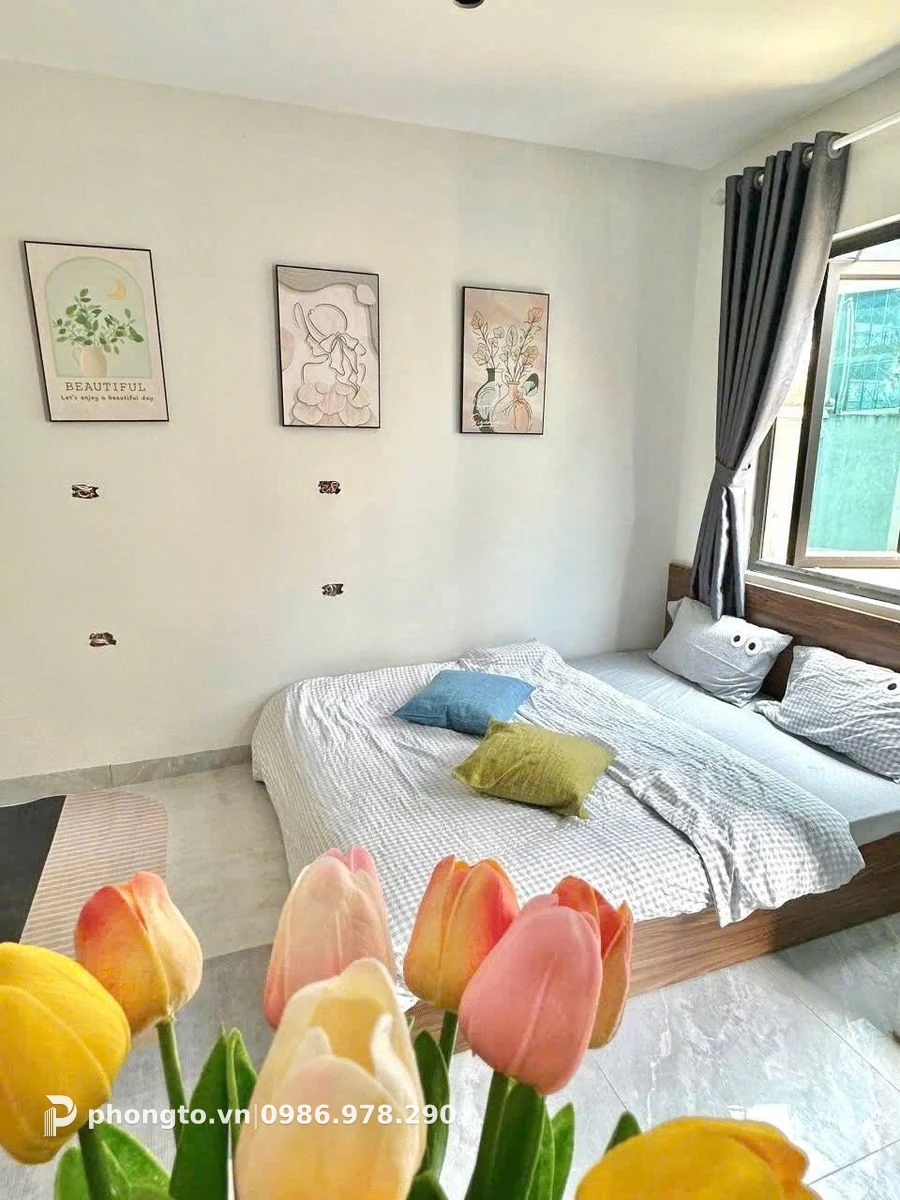 Studio Đình Thôn Nam Từ Liêm - PTGD-16523 (ảnh 2)